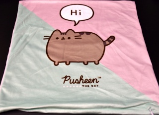 Poszewka na poduszkę jasiek Kot Pusheen dekoracyjna welur 40x40 Velvet