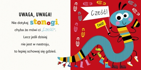 Książka dla dzieci Uwaga! PAJĄK Książeczka sensoryczna