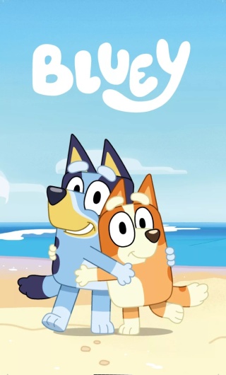 Ręcznik do rąk i twarzy przedszkola Bingo i Bluey 30X50