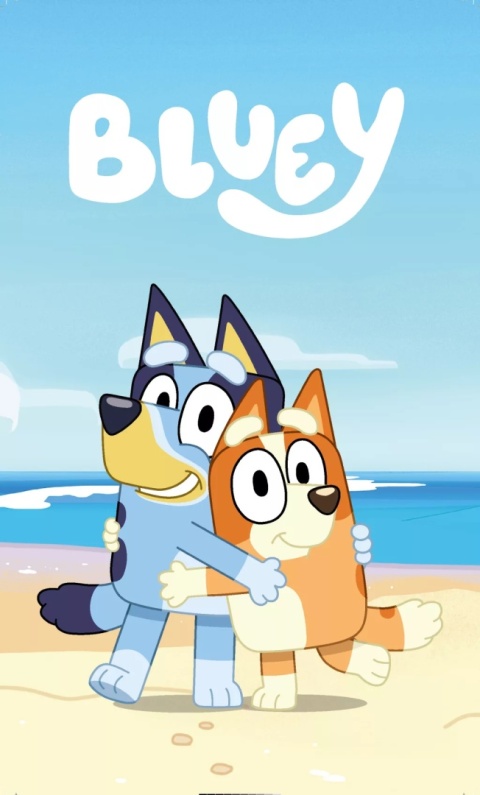 Ręcznik do rąk i twarzy przedszkola Bingo i Bluey 30X50