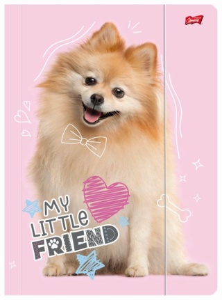 Teczka z gumką A4 na dokumenty szkolnapiesek pies szczeniak Pomeranian
