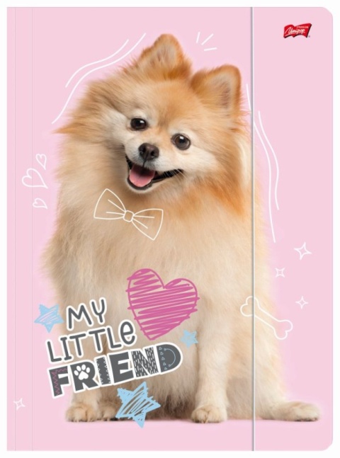 Teczka z gumką A4 na dokumenty szkolnapiesek pies szczeniak Pomeranian