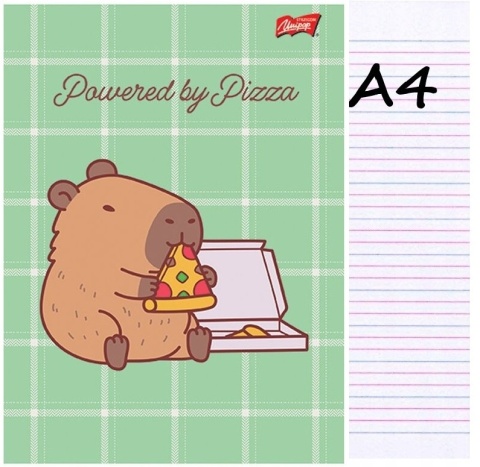 Zeszyt A4 trzylinia kolorowa do nauki pisania 32 kartki Kapibara pizza