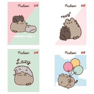 Zeszyt A5 kot PUSHEEN 2 kotki 32 k kratka z marginesem 4 szt