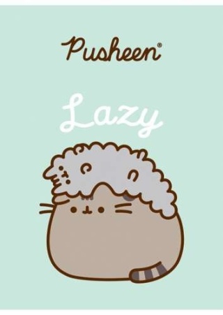 Zeszyt A5 kot PUSHEEN 3 kotki 32 k trzy linia kolorowa 1 szt