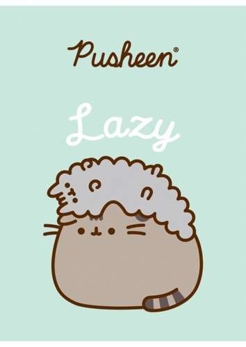 Zeszyt A5 kot PUSHEEN 3 kotki 32 k trzy linia kolorowa 1 szt