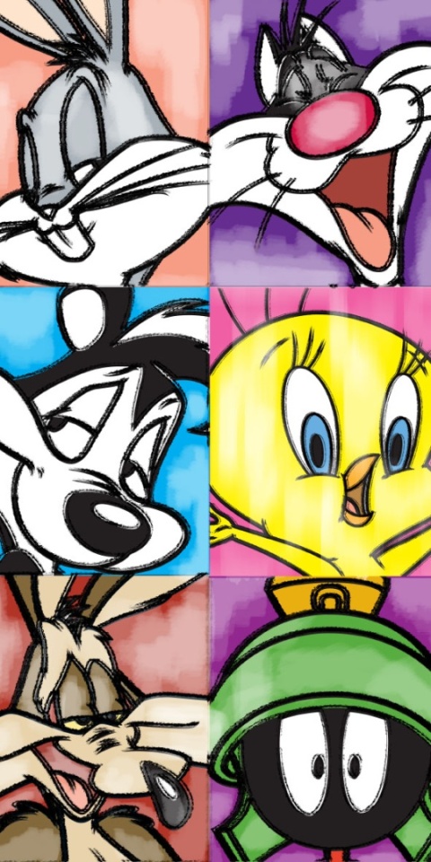 Ręcznik kąpielowy bawełniany LOONEY TUNES Sylwester Tweete Bugs 70x140
