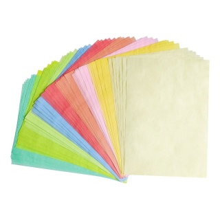 Bibuła gładka Interdruk kolorowa pastelowa A4 60 kartek