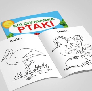 Kolorowanka ptaki duże rysunki martel