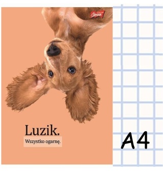 Zeszyt A4 w kratkę 60 kartek piesek pies A4/60k śmieszne napisy luzik