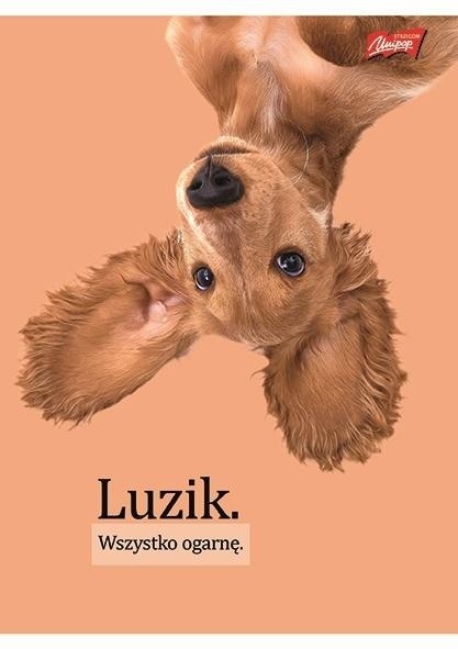 Zeszyt A4 w kratkę 60 kartek piesek pies A4/60k śmieszne napisy luzik