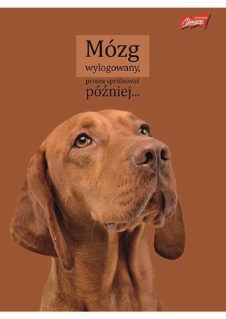 Zeszyt A4 w kratkę 60 kartek piesek pies A4/60k śmieszne napisy