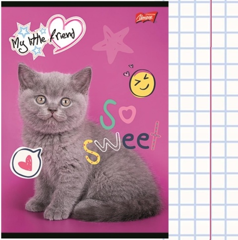 Zeszyt A5 w kratkę 32 k A5/32 kartek My little friends szary kot 1 szt