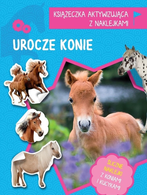 Urocze konie książeczka aktywizująca z naklejkami łamigłówki rebusy