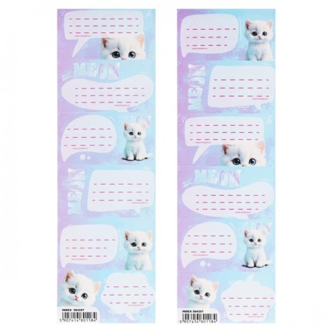 Naklejki nalepki na zeszyty 12szt kot kociak Meow