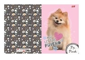 Zeszyt A4 trzy linia kolorowa do nauki pisania 32k pies pomeranian