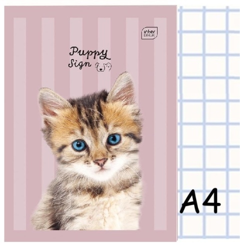 Zeszyt A4 w kratkę 32 kartek kot kociak Puppy Sign Interdruk