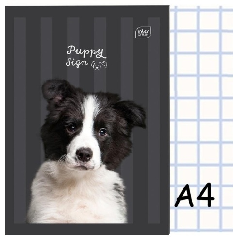 Zeszyt A4 w kratkę 32 kartek piesek Puppy Sign Interdruk