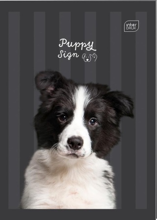 Zeszyt A4 w kratkę 32 kartek piesek Puppy Sign Interdruk