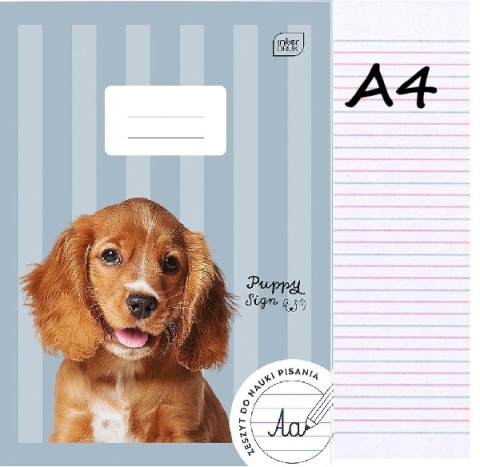 Zeszyt A4 w trzylinię trzy linia kolorowa 32 k piesek Puppy Sign Interdruk