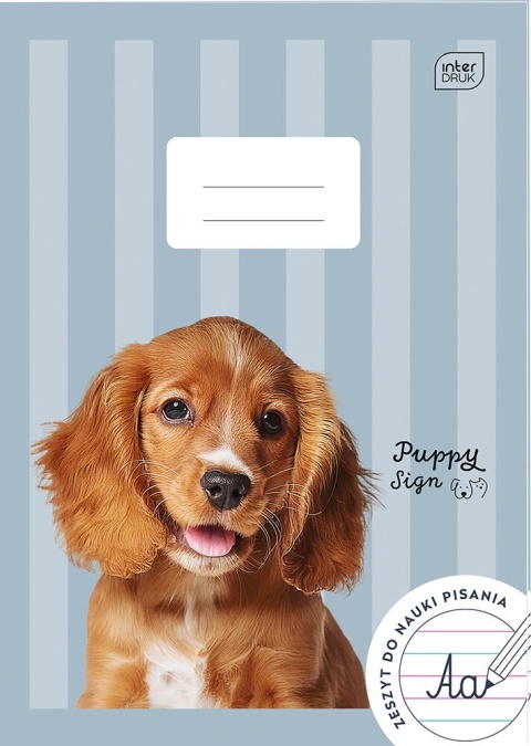 Zeszyt A4 w trzylinię trzy linia kolorowa 32 k piesek Puppy Sign Interdruk