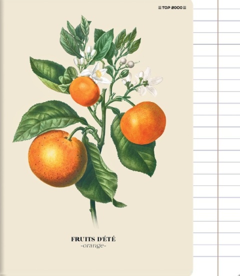 Zeszyt A5 w linię 60 kartek owoce lata orange linia A5/60 k