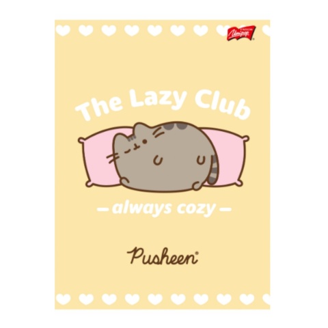 Zeszyt A4 trzy linia kolorowa do nauki pisania 32k kotek Pusheen 2 szt