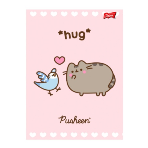Zeszyt A4 trzy linia kolorowa do nauki pisania 32k kotek Pusheen 2 szt