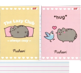 Zeszyt A4 trzy linia kolorowa do nauki pisania 32k kotek Pusheen 2 szt