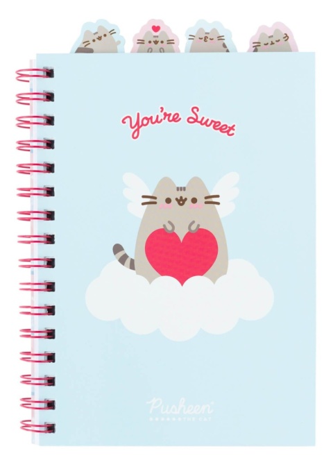 Notatnik pamiętnik kołonotatnik z zakładkami kot Pusheen chmurka słoneczko