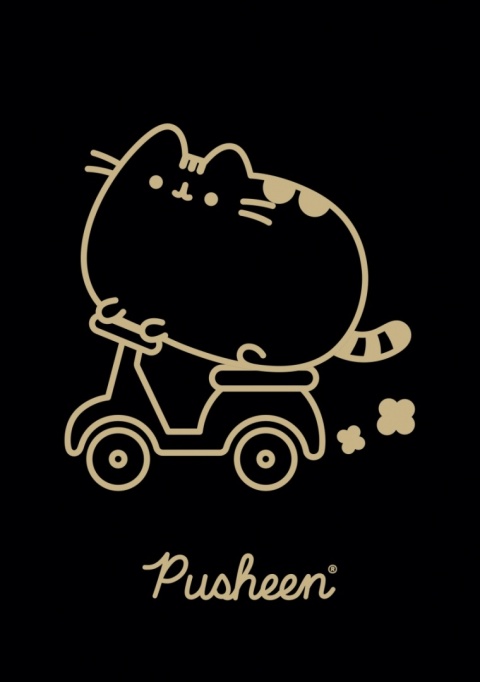 Zeszyt w kratkę A5 Pusheen kotek czarny gold mix wzorów 60 kartek 4 szt
