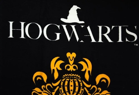 HARRY POTTER Ręcznik kąpielowy plażowy 70x140
