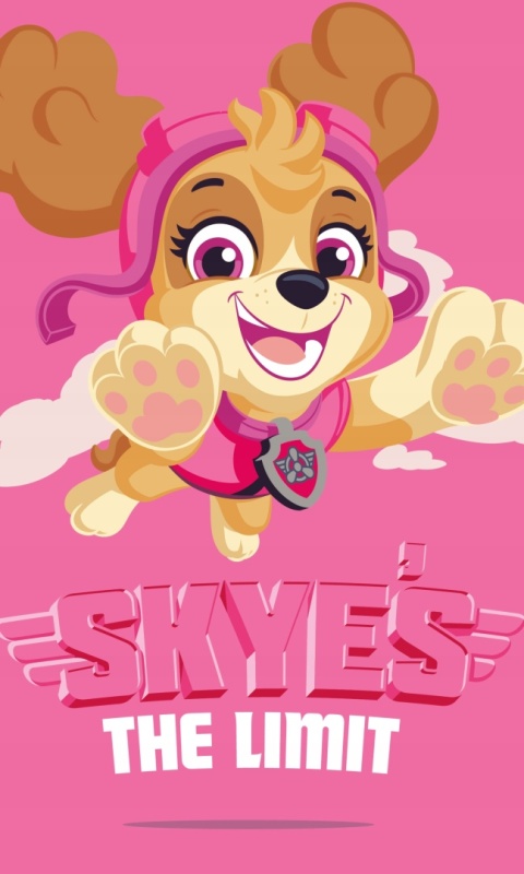 Ręcznik do rąk i twarzy przedszkola PSI PATROL SKYE 30X50