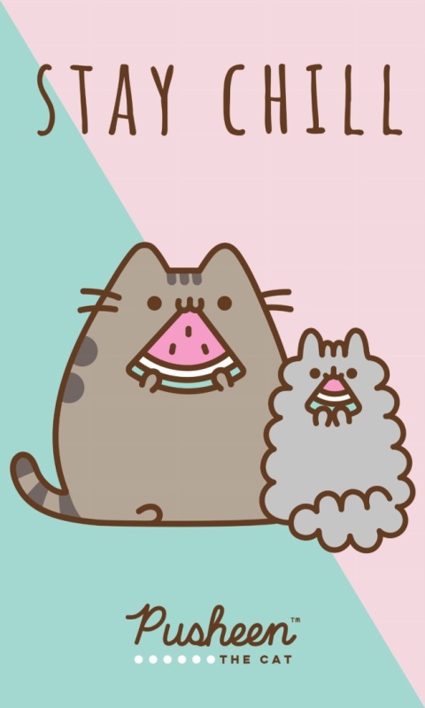 Ręcznik do rąk i twarzy przedszkola kot KOTEK PUSHEEN 30X50