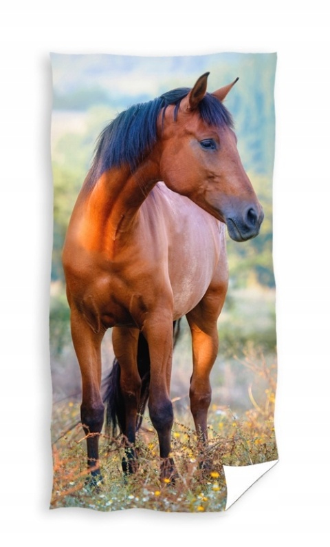 Ręcznik do rąk przedszkola KOŃ MUSTANG 30X50