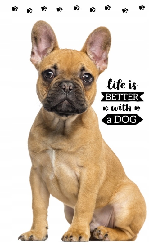 Ręcznik do rąk przedszkola PIESEK 30X50