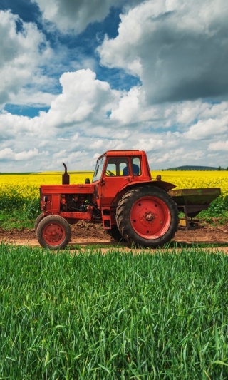 Ręcznik do rąk przedszkola TRAKTOR CIĄGNIK 30X50
