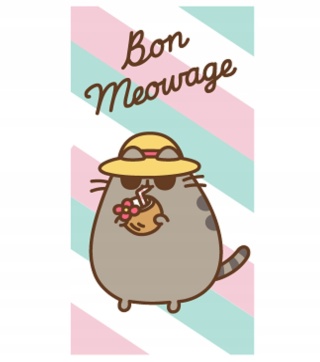 Ręcznik plażowy kąpielowy szybkoschnący PUSHEEN 70x140