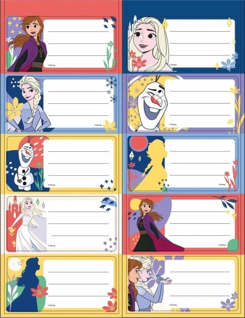 Naklejki nalepki na zeszyty 10 szt Kraina Lodu Frozen