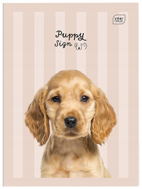 Zeszyt A4 Interdruk trzy linia podwójna niebieska jednokolorowa pies 32k