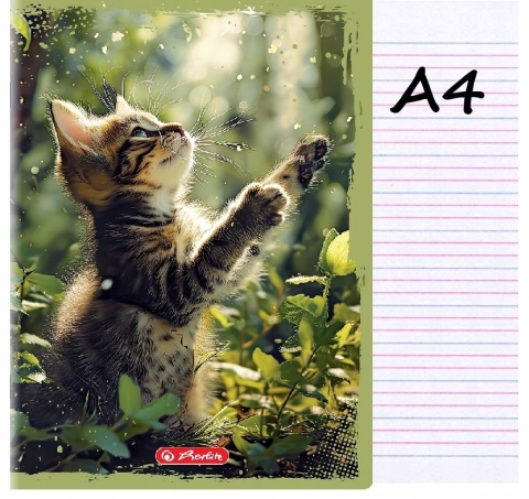 Zeszyt A4 trzylinia kolorowa do nauki pisania 32 kartek kot kotek Herlitz