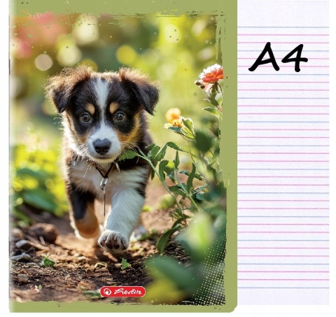 Zeszyt A4 trzylinia kolorowa do nauki pisania 32 kartek piesek Herlitz