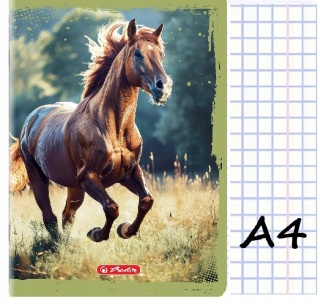Zeszyt A4 w kratkę 32 kartek konik koń Herlitz