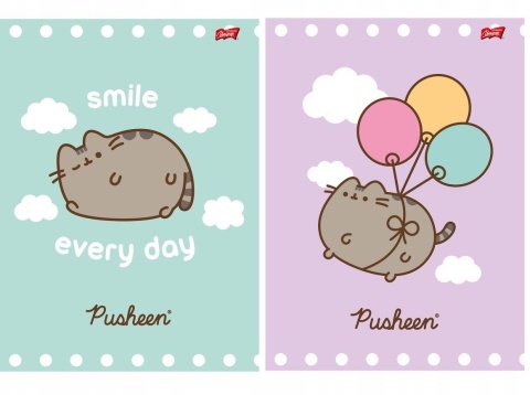 Zeszyt A4 w kratke 32k kot kotek PUSHEEN 2 szt
