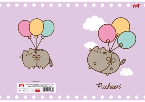 Zeszyt A4 w kratke 32k kot kotek PUSHEEN 2 szt