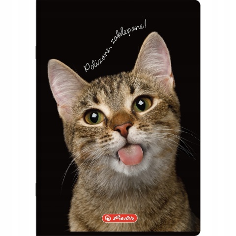 Zeszyt A4 w kratkę 60 kartek kudłaty kot kotek Herlitz