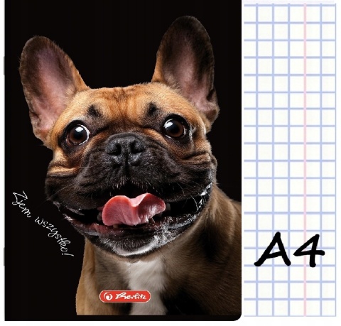 Zeszyt A4 w kratkę 60 kartek piesek pies Herlitz