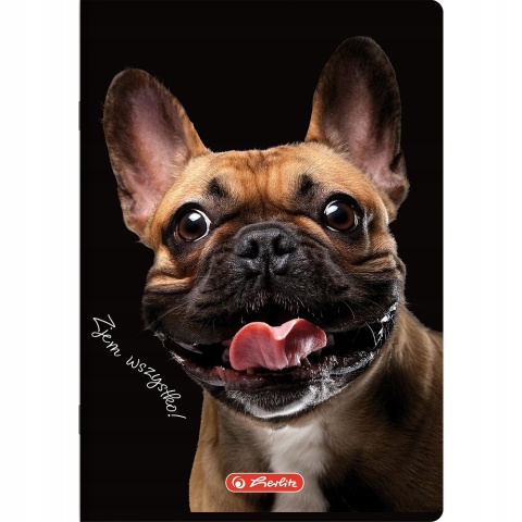 Zeszyt A4 w kratkę 60 kartek piesek pies Herlitz