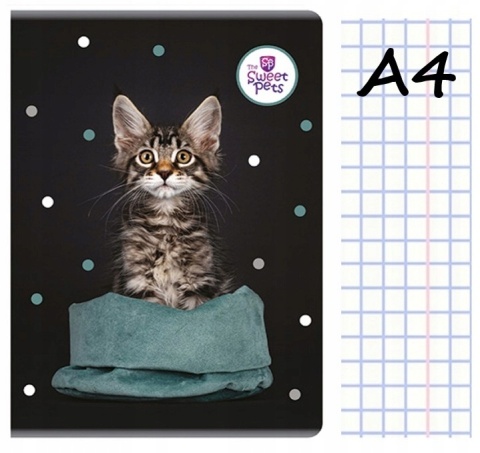 Zeszyt A4 w kratkę 60 kartek z marginesem kot kotek kociak czarny