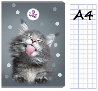 Zeszyt A4 w kratkę 60 kartek z marginesem kot kotek kociak